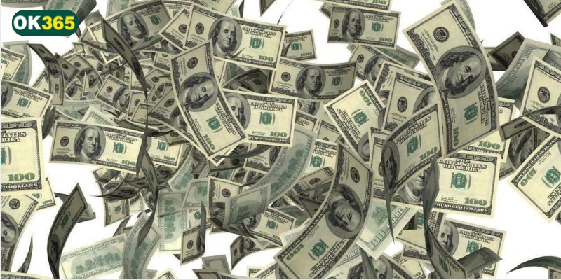 Hoa hồng hàng ngày 