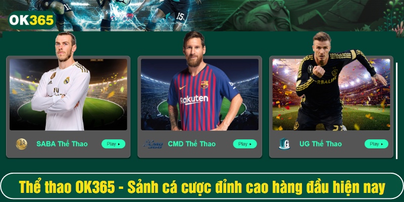 Hệ thống thể thao OK365 được chia thành nhiều sảnh cược